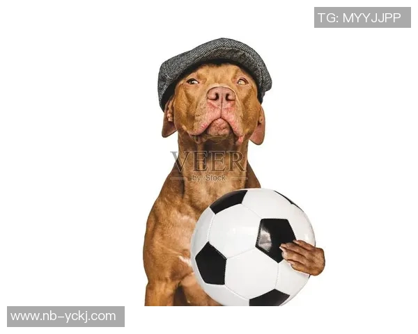 以足球明星命名的狗狗：那些因球星而得名的萌宠故事